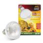 Preview: Terra Exotica D3 UV Heat Spot - 80 Watt